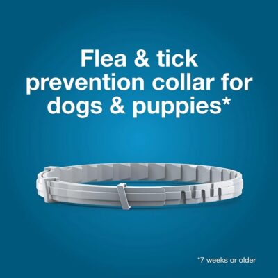 Large Dog Vet-Recommended Flea & Tick Treatment & Prevention Collar for -dsa