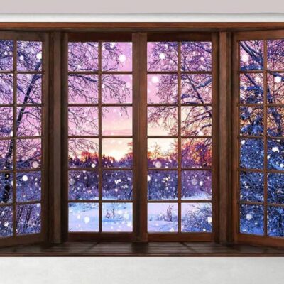 Kate Backdrop Winter Window 10 x 6.5