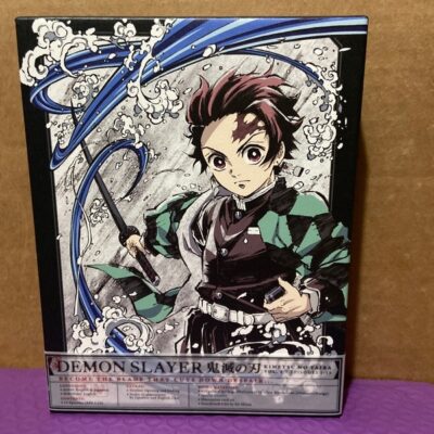 Demon Slayer Volume 1 Blu-ray