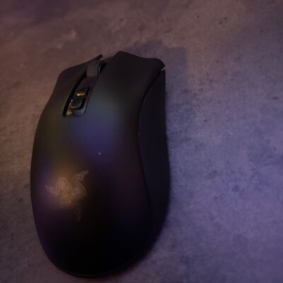 Razer deathadder v2 pro