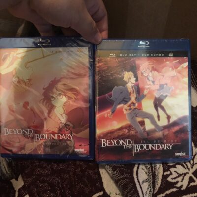 Beyond The Boundary Bundle