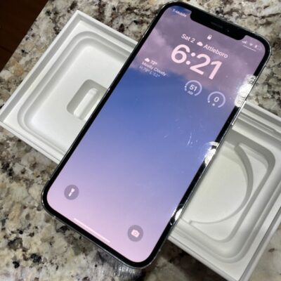 Apple iPhone 12 Pro 256 GB in Silver for Unlocked